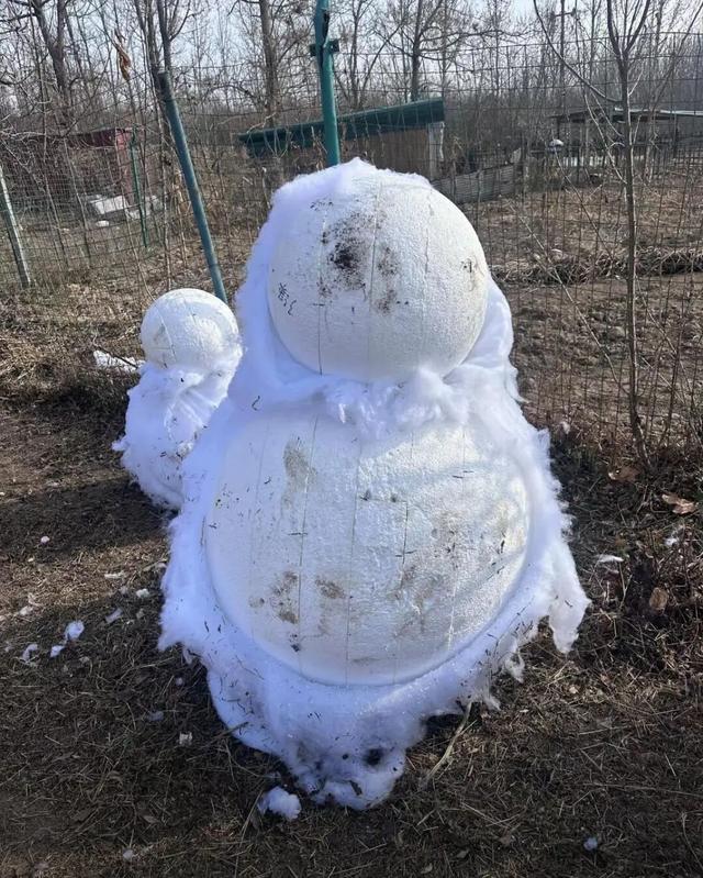 郑州“狗熊岭梦幻雪乡”停业整顿，此前差评刷屏，遭游客吐槽“用棉花造雪”“脏乱差”，园区回应
