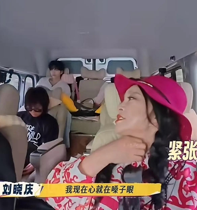 钱再多有什么用？刘晓庆意外摔倒	、反应迟缓，令人担心的事发生了