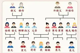 中国亲戚关系图，拜年再也不用发愁了！图片
