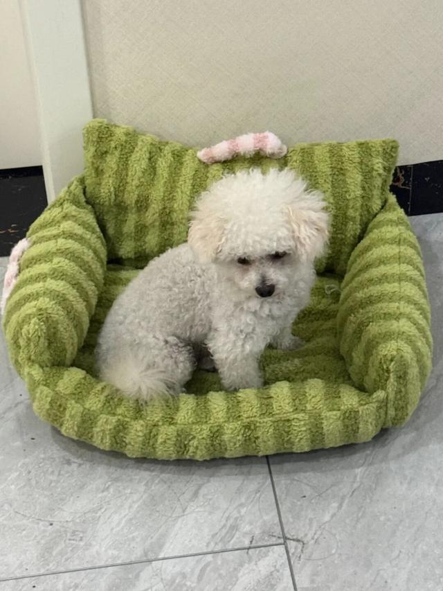 8月，「渴望自由，像治不好的病」（上）