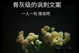 骨灰级的讽刺文案图片