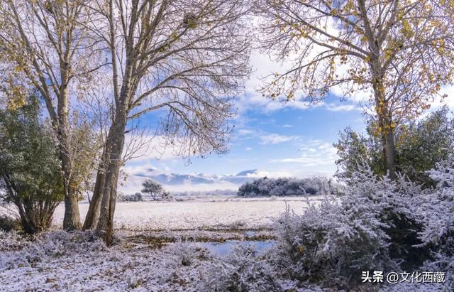 可惜你不知道下雪后的西藏究竟有多美?