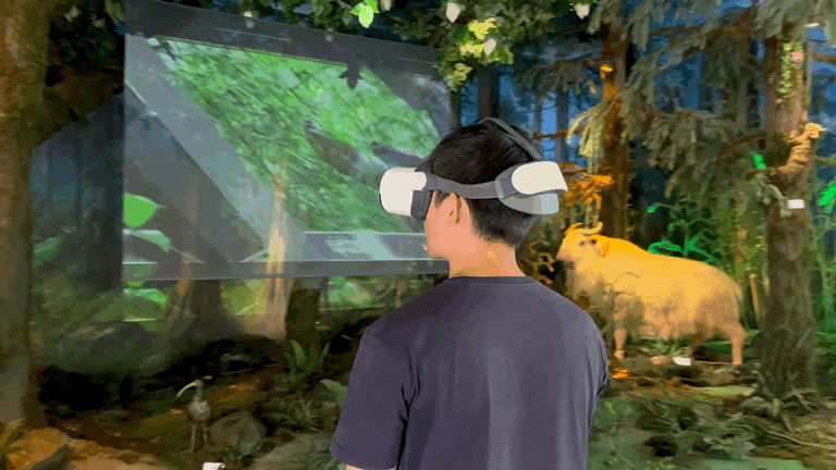 博达作品｜大熊猫国家公园.瓦屋山熊猫博物馆