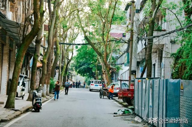 重庆张飞古道大环线攻略:峡谷温泉,三国秘径,卢作孚纪念馆