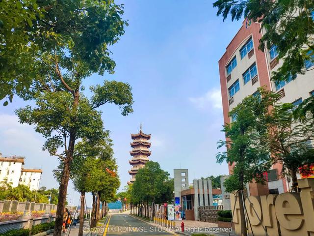 深圳这条街,曾经挤破头都难进入,现在扫码就进却为何没人去了?