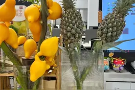 别买绿植了！这6种“水果核”扔水里，几天就能长成绝美盆栽图片