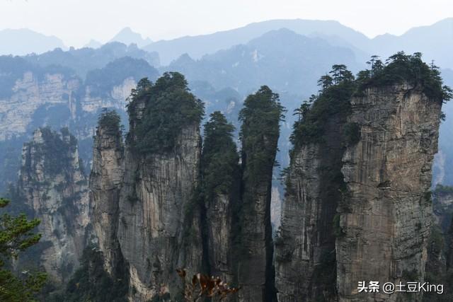 张家界翠柱耸云、壁立千仞，为何难成中国的“峡湾式”名片？