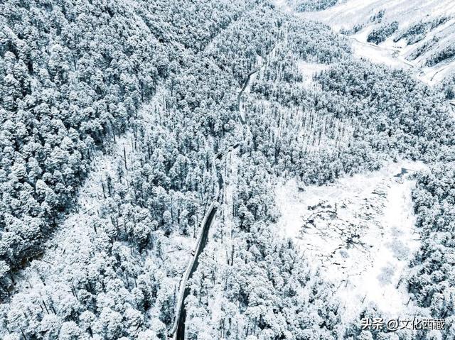 西藏下雪啦！是时候闯入扎墨公路的冬日仙境了！