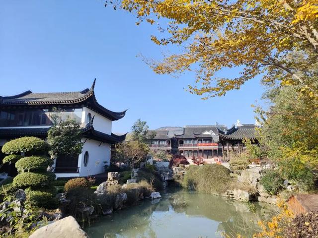 寻美薛城丨谁还没去？薛城小江南留园山庄这片初冬美景秘境藏不住了，速来打卡！