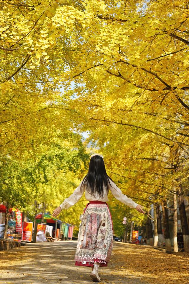 漫游韶关，赴一场山水间的秋日之约