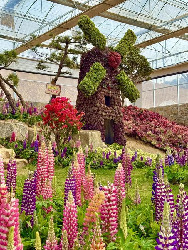 临沂春假旅行指南，请查收