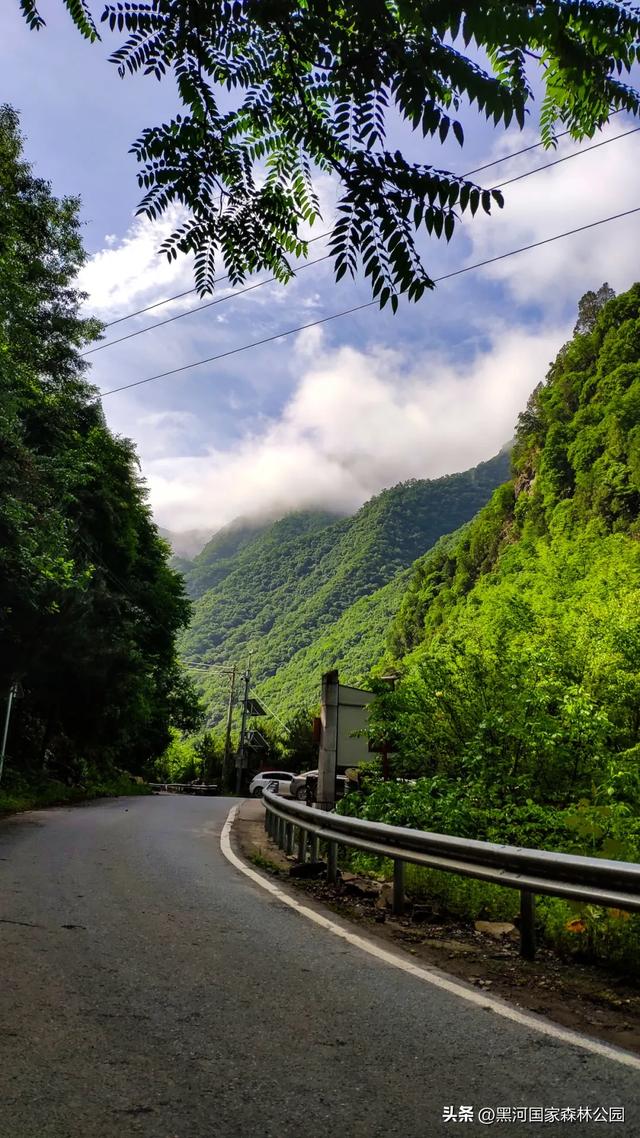 来一场「云赏黑河」之旅！听雨观山，神游林海