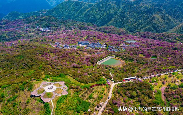 宁波四明山红叶指南：红枫隧道到星空露营，人均300吃遍山间美味