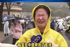 中韩友谊的象征：“福宝”的归国潮，让韩国民众为何如此不舍？图片