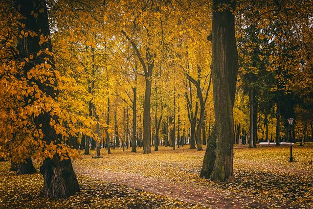 中年两性关系惊现“神秘信号”，你捕捉到了吗？