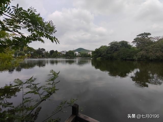 采一篮茶叶，炒一锅清茶，品一品茶香