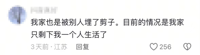 广东男子建新房被“埋骨”事件：评论区让我瑟瑟发抖……