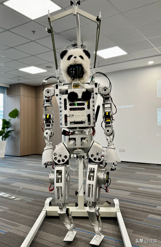 10万买个机器人值吗？AI大脑藏着商机，人形机器人的野心不止搬砖