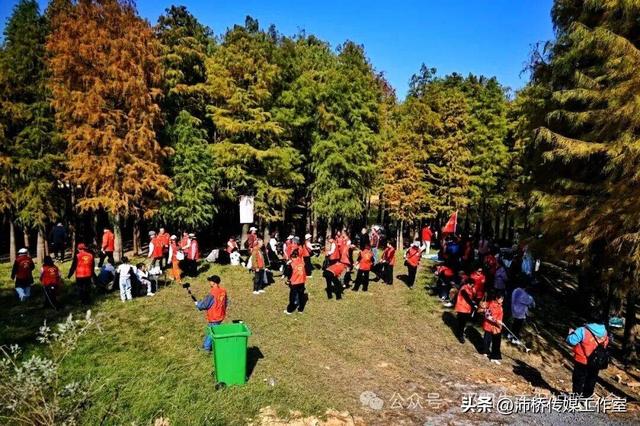 最美水杉林里志愿红