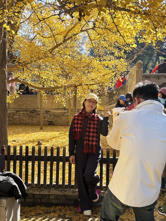 博物FUN | 大觉寺：千年古刹的禅意与新生