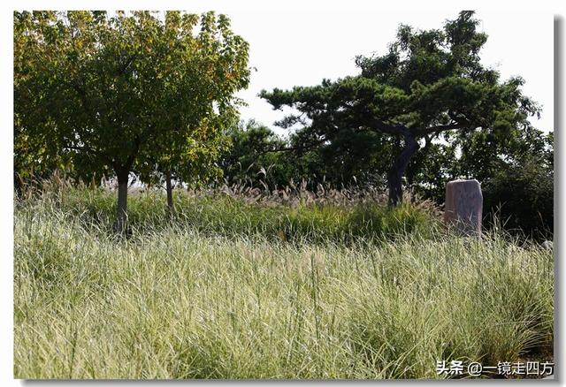 大连滨海路终点的海之韵公园