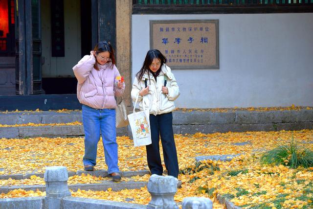 惠山古镇丨满地尽是🍂黄金甲