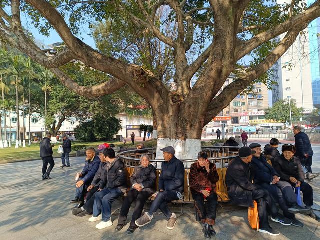 抓紧晒太阳！1月10日涪陵间断小雨或零星小雨高海拔地区有霜冻