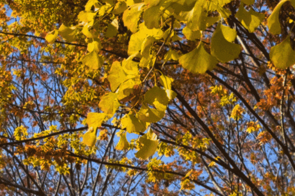 丹徒这几条路，真不想让太多人知道！
