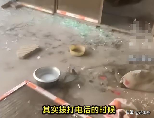 狗主人被反杀案开庭，9人闯门打砸	，妻子后悔冲动，更多细节披露