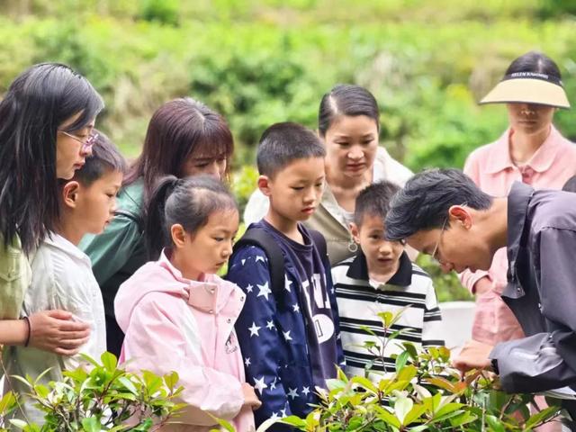它凭什么成为无数人的“梦里老家”？