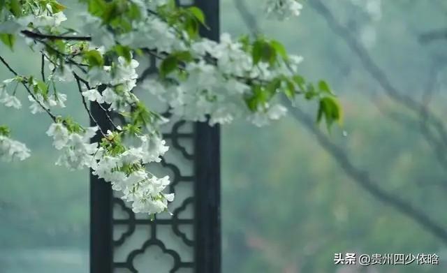 相思泪落十六拍