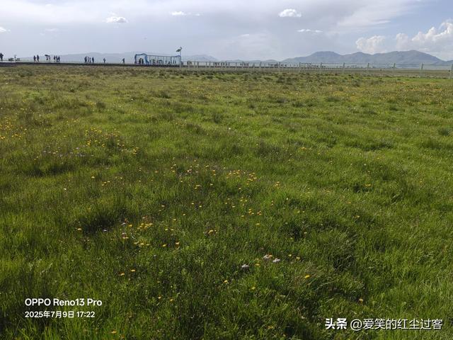 我的旅行日记——来到若尔盖花湖，不见漫天的花海