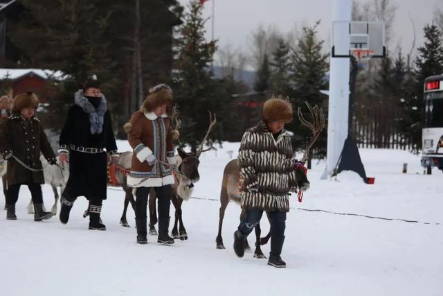 1200人共赴冷极之约！2025—2026内蒙古冰雪旅游季，将从根河市启幕