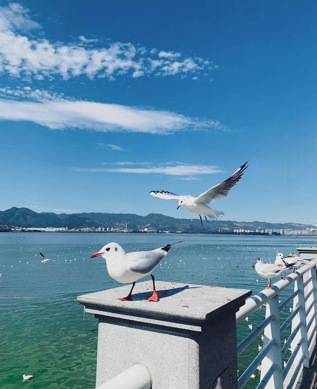 梦幻云南（二）：滇池篇