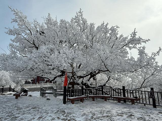 首遇云台山的雪凇美景