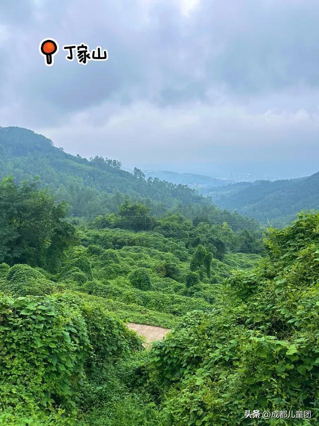 10条初秋徒步线路，去草甸、果园、森林里找秋天