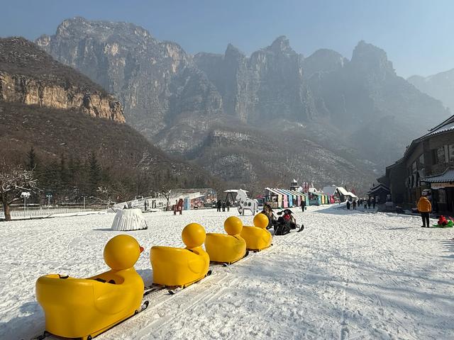 云台山雪凇比雾凇更难见呀