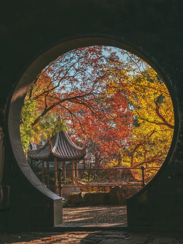 枫叶不输北国，园林比故宫浪漫！这座城市私藏了江南的所有秋天