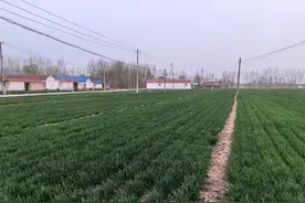 土地每十年调整一次减人减地，增人增地，我是怎样做的图片