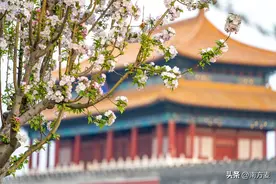 数列综合大题归类--2024年高考数学大题突破图片