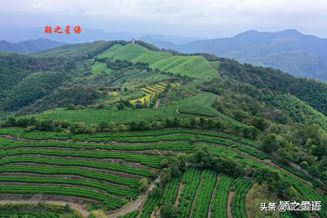 南山观景台，藏于深闺人未知，登高揽胜快意之事