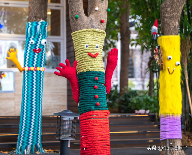 武汉十二月——一月一帧藏走过2025的四季光影