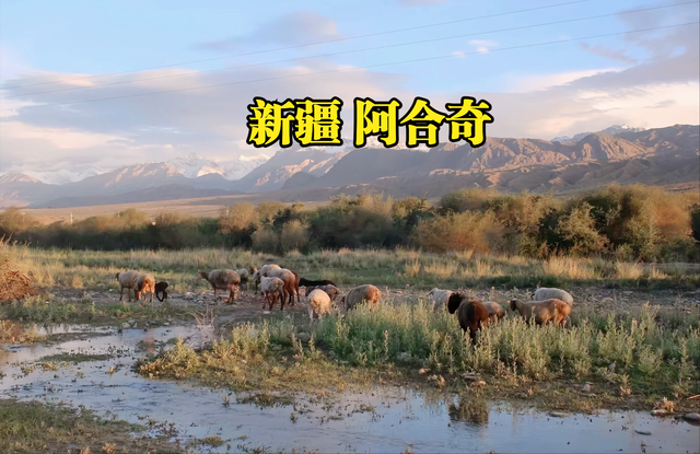 小城逆袭！逃离热浪！2025盛夏旅行风向标，全在这份热榜里了！