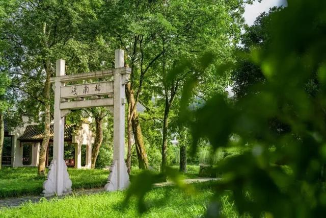 12位小红书博主挖到黄山秋日宝藏！9大私藏站点美到跺脚 | 皖美秋日