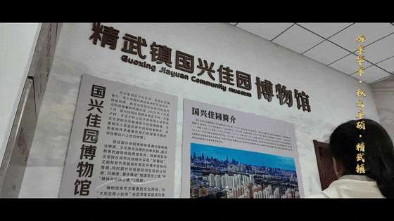 秋之丰硕·精武镇的秋韵，谁能不爱？