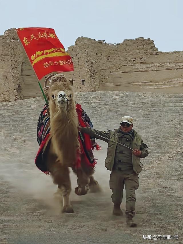 东天山骆驼队凯旋了，他带给我们的启示应该留下