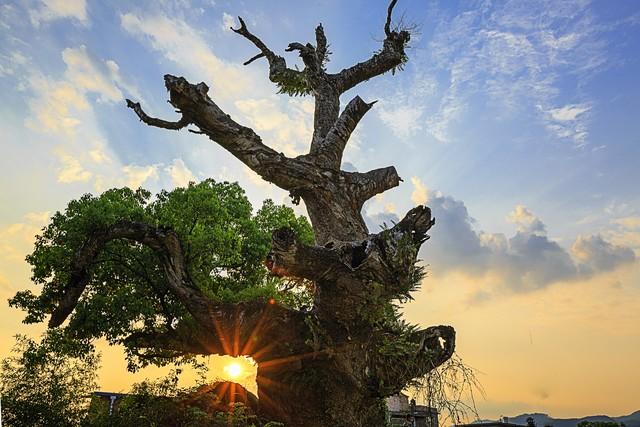 太山的方便面