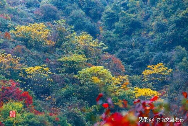醉美文县：秋色斑斓大岭梁