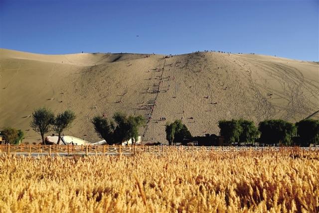 初冬漫游敦煌：欣赏大漠风光 体验丝路风情
