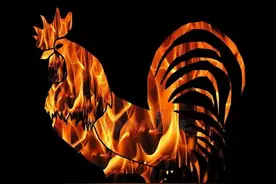 生肖龙的最佳配偶是谁？一生不离不弃，幸福似鸳鸯图片